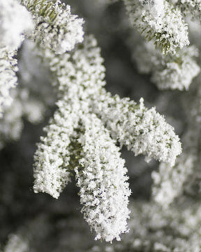 Árvore De Natal Com Micro LED Embutida